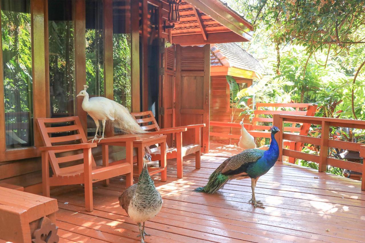 Sukantara Cascade Resort And Spa Mae Rim Εξωτερικό φωτογραφία